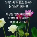 [매미의 오덕] 이미지