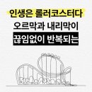 자궁내막암 1기 - P53 돌연변이 발견, 항암치료 여부 후기(분당 서울대 병원 수술)