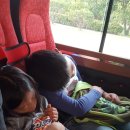 새미래 소나무향기태권도 이미지