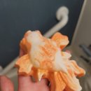 뽑아볼까 앙 이미지