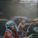 천주교인보회행복한집 네이버블로그