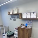 댕댕이 그루밍 이미지