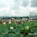 회산축산 이미지