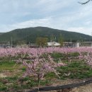 삼매3리 경로당 이미지