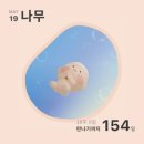[임신일기] 어젯밤에 난 네가 느껴졌어... 18주 시작, 사랑 가득한 한 주