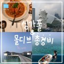 제주버틀러투어 | ✈️ 신혼여행 01 :: 싱가포르 2박 & 몰디브 4박 5일 여행 총 경비ㅣ아바니 플러스 파레스 리조트