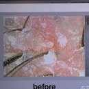 에스랩 (S´LAB) 이미지