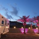 오늘 여기 이미지