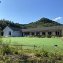 고란집 민박 이미지