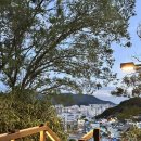 연화모텔 | [통영 여행 1일차] 서피랑, 연화고등어와전갱이