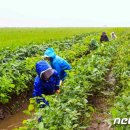 미곡농장 이미지