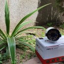 진원CCTV 이미지