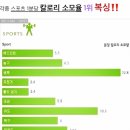 형제다이어트복싱클럽 이미지