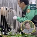 판다스튜디오 OSEN