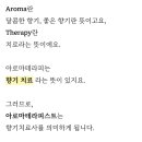 썬블리뷰티
