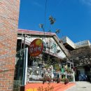 괘내함지박 이미지