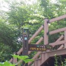 고향의봄도서관 이미지