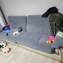 소파청소는 전문가에게 맡기세요~(찐후기) 뽕뽕이맘 용두동님의 후기