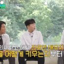 글로벌꿀벌동물병원 이미지