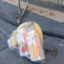 간척3리 이미지