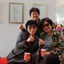 새영 이미지