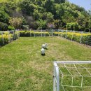 스테이 하냥 이미지