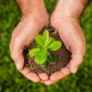 소사안경 이미지