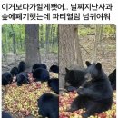 사과숲