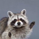 백운마루 이미지