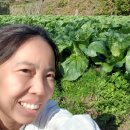 김종화농장 이미지