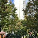 월영연못공원 이미지