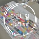 네일에퐁당 - 수원시 영통구 센트럴타운로 106 | 네일에퐁당