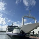 성산렌트카 | 우도여행 꿀팁! 하우목동항 바로 옆 &#39;우도전기렌트카&#39; 완벽 이용 후기(전기차 3인승, 5인승)