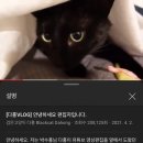 검은고양이 이미지