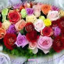 신월1리 이미지