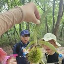 북서울꿈의숲 유아숲체험원 이미지