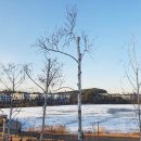 호수포레나공인중개사사무소 이미지