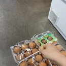 (주)현대서원주서비스 | 4월 넷째주 주간일기｜월화수목금토일 일한 사람의 먹부림 기록