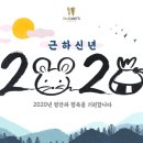 닥터케어스