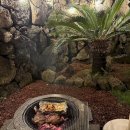 더포레스트하소로 이미지