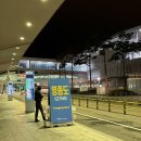 공항현대서비스 | [내돈내산]블루핸즈 인천공항 제네시스 에어포트 서비스 후기/현대백화점면세점혜택(비행기지연/택시이동)