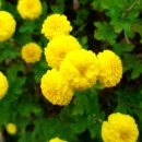 월야농장 이미지