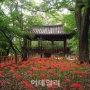 [국내여행 함양]상림공원,개평한옥마을,남계서원,선비문화탐방로,전통주 체험,두레마을,오도재,지리산...