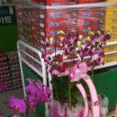 금빛할인마트 이미지