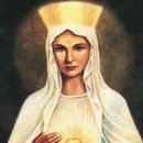 성모농장 이미지