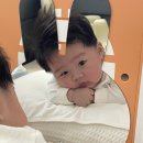 (내돈내산)동글이의 아띠래빗 아기병풍 사용후기
