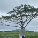 우돈목장 이미지