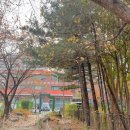 은초록어린이집 이미지