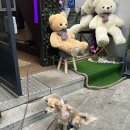 스페이스해방공원 이미지