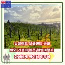 장태문캠핑카 앞 교통섬 | 뉴질랜드 오클랜드 여행, 와이헤케 와이너리 투어 의외 힐링타임 강추
